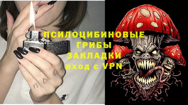 соль ск Бородино