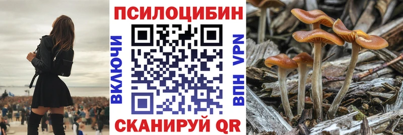 Галлюциногенные грибы прущие грибы  Купить закладки  Ленинск-Кузнецкий 
